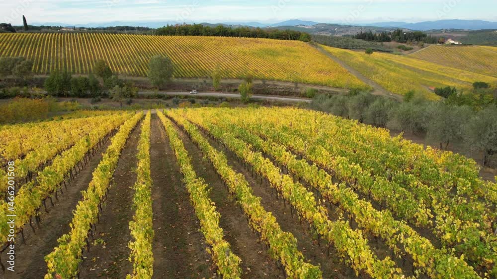The splendid vineyards in the heart of Chianti Classico, between Florence and Siena turn yellow in autumn season. Aerial view of yellow vineyards in Chianti area near San Casciano Val di Pesa, Italy. The splendid vineyards in the heart of Chianti Classico, between Florence and Siena turn yellow in autumn season. Aerial view of yellow vineyards in Chianti area near San Casciano Val di Pesa, Italy.