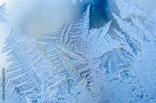 Frosty patterns on the window