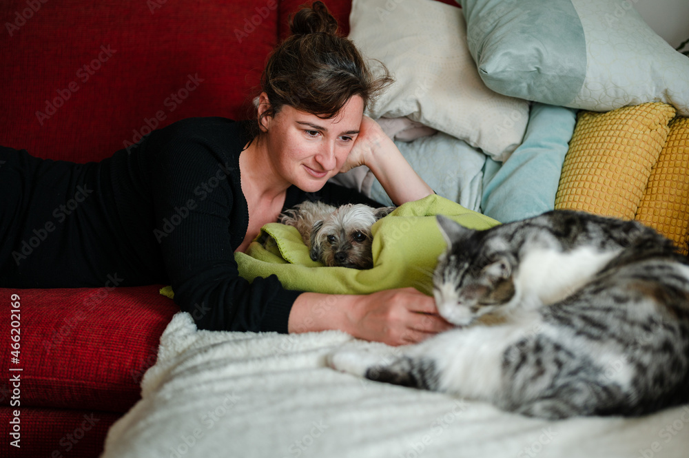 Obraz premium Beautiful woman in late 30s lying on couch with a dog and a cat. Caucasian female playing at home with her pets.