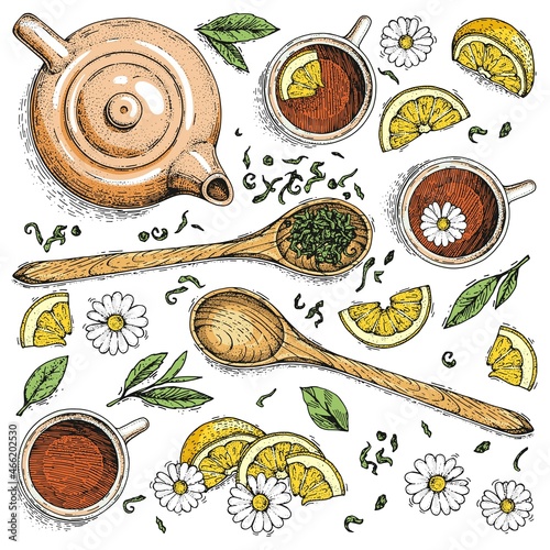 Vector collection of illustrations of tea herbs. Teapot, cup, spoon with herbs. Hand-drawn sketches. Vintage style engraving