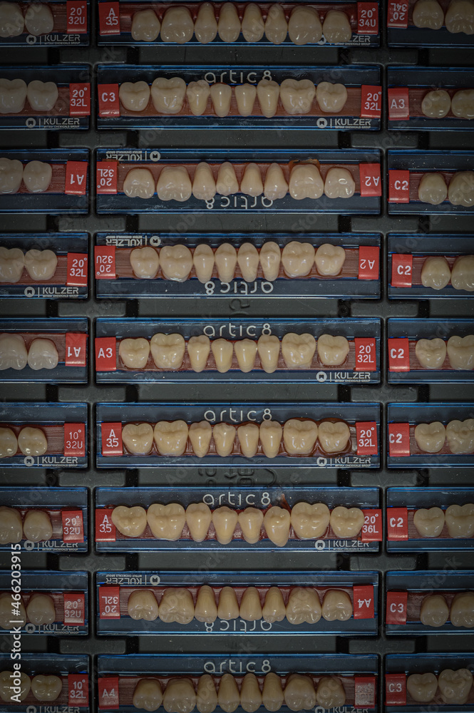 samples of human artificial teeth