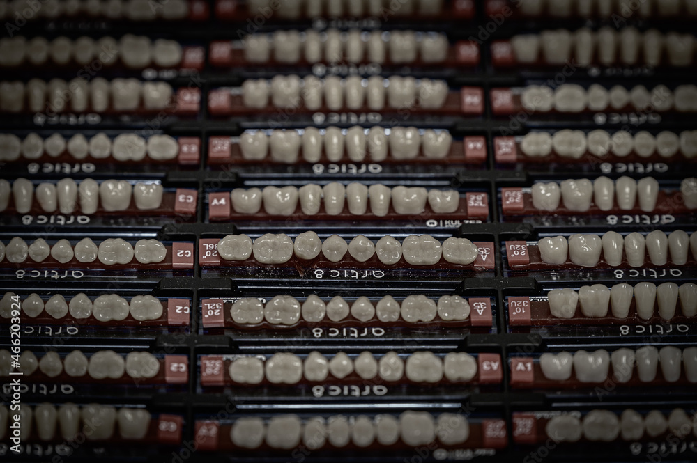 samples of human artificial teeth