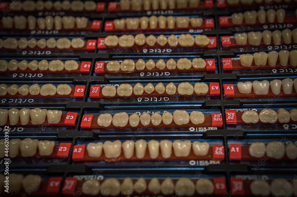 samples of human artificial teeth samples of human artificial teeth