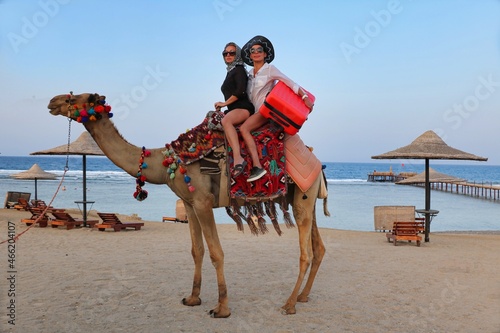 фотографія Two tourist girls are riding a camel with a large red suitcase.