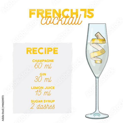 Hand Drawn Colorful French 75 Summer Cocktail. Drink with Ingredients