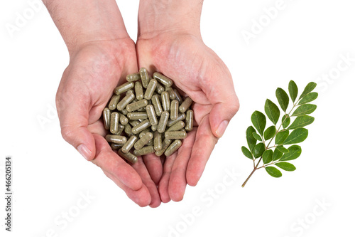 Moringa oleifera; Moringa Leaves And Capsules In Male Hands