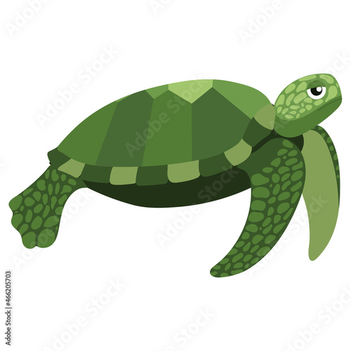 Beautiful cartoon illustration with colorful sea animals green turtle on white background for print design. Kid graphic. Sea underwater life. Vector isolated hand drawing.