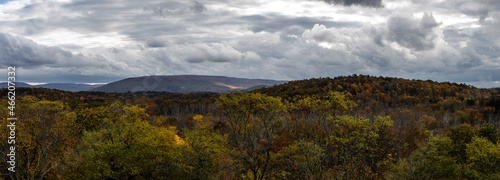 Fall