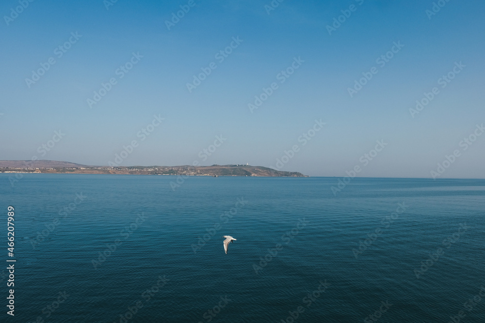a flock of seagulls hovers over the sea near the ship a flock of seagulls hovers over the sea near the ship