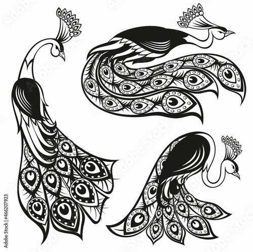 Magic Fairy Bird. Phoenix Bird.  Peacock bird.Ornamental Silhouette for your design.
