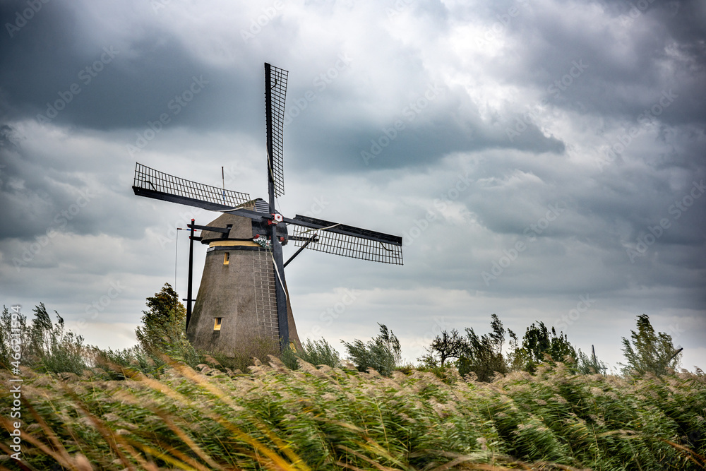 Obraz premium Dutch famous landscape, windmills in Netherlands