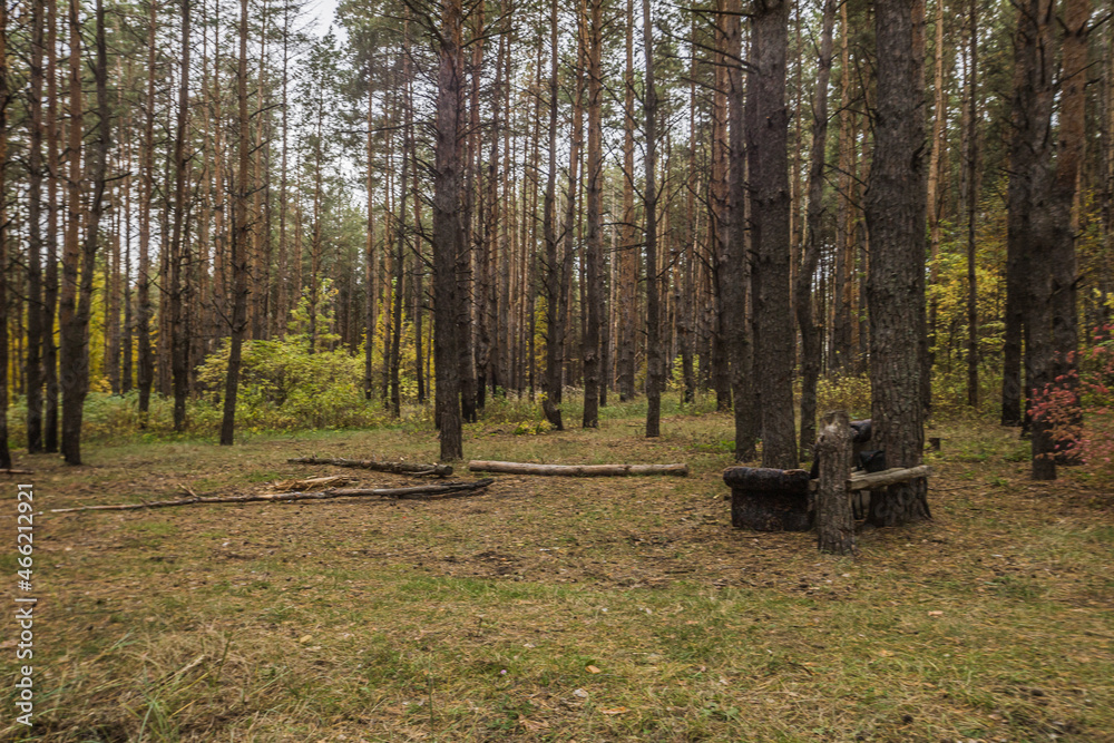 autumn nature of Sursky krai