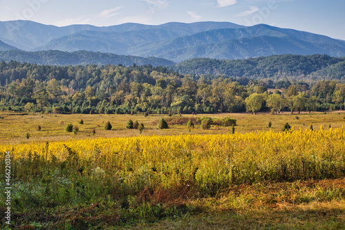 Cades Cove, The Great Smoky Mountains.