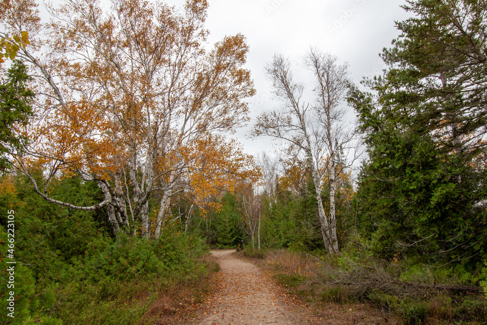 MacGregor Point Provincial Park in Fall