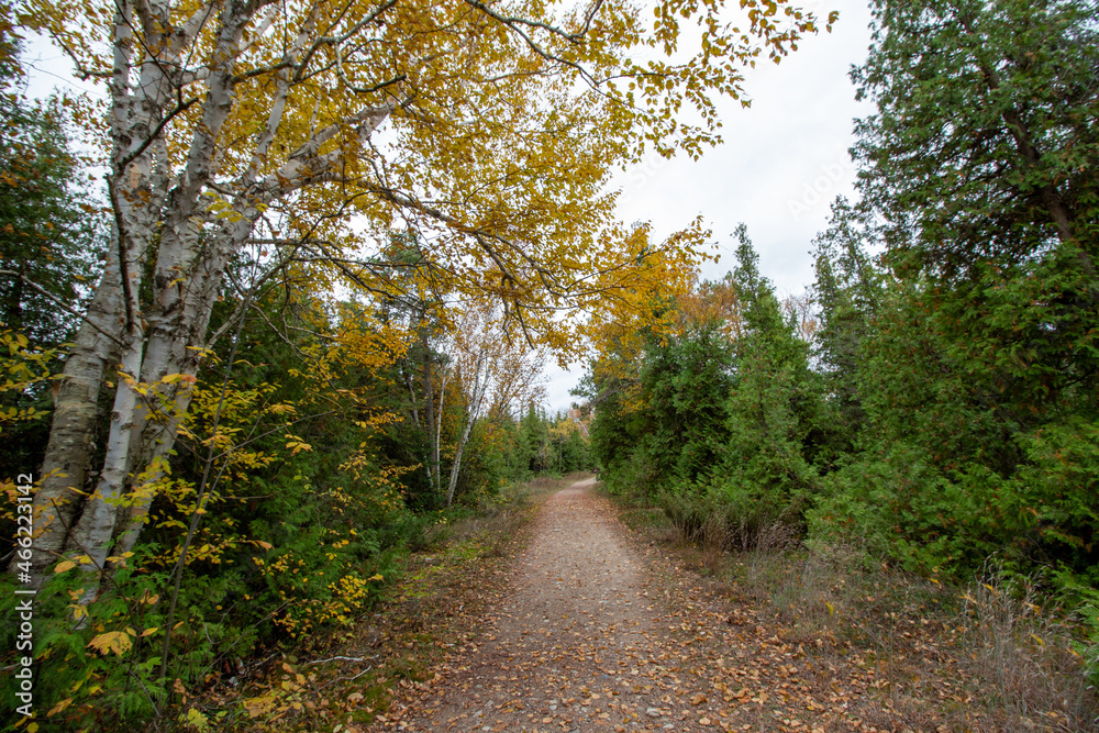 Fototapeta premium MacGregor Point Provincial Park in Fall