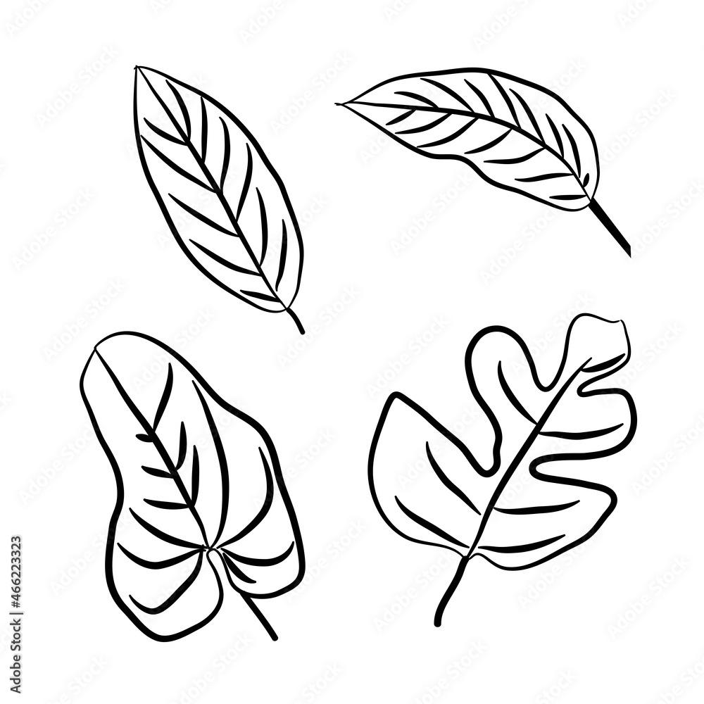 Vector Set of different fresh tropical leaves on white background Vector Set of different fresh tropical leaves on white background