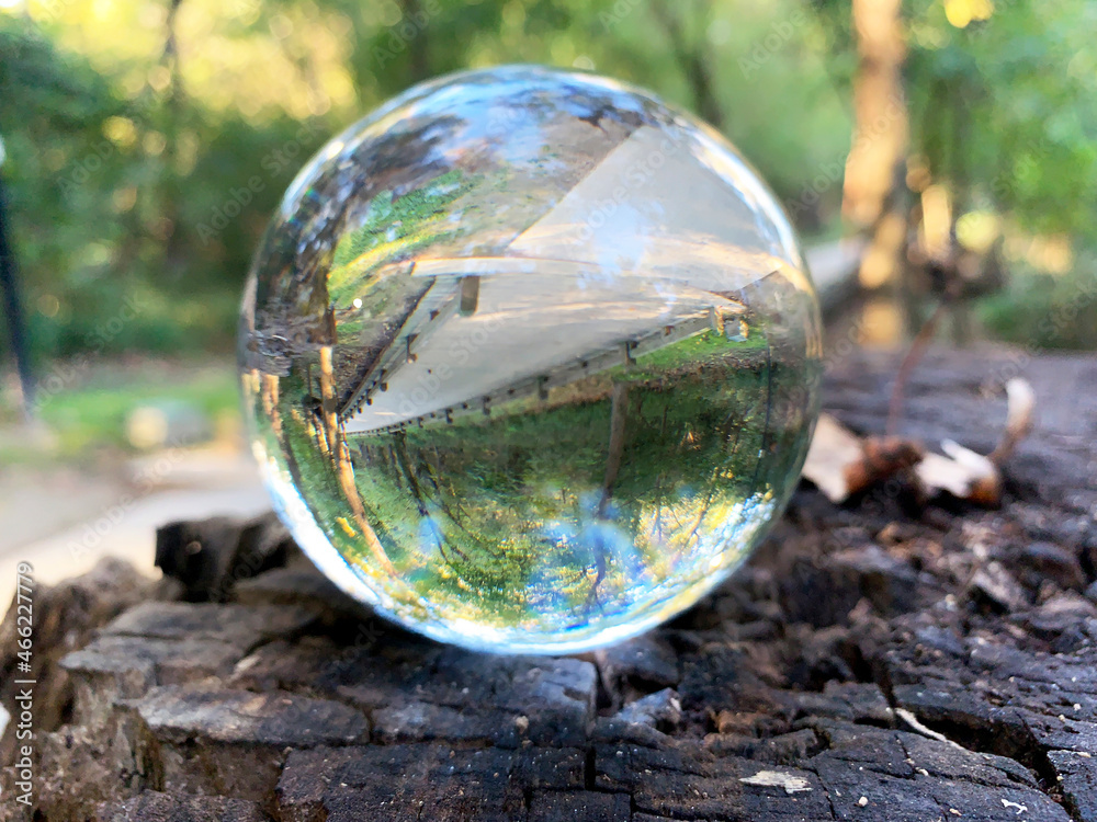 Inverted wood path seen through glass ball on wood table in early morning Inverted wood path seen through glass ball on wood table in early morning