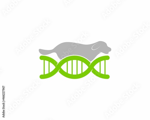 Dog on the DNA helix vector illustration