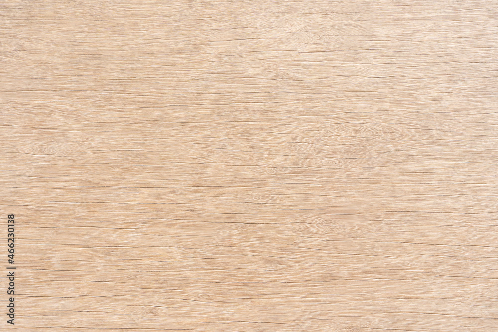 Light brown wood there are stains on the surface for background texture and copy space Light brown wood there are stains on the surface for background texture and copy space