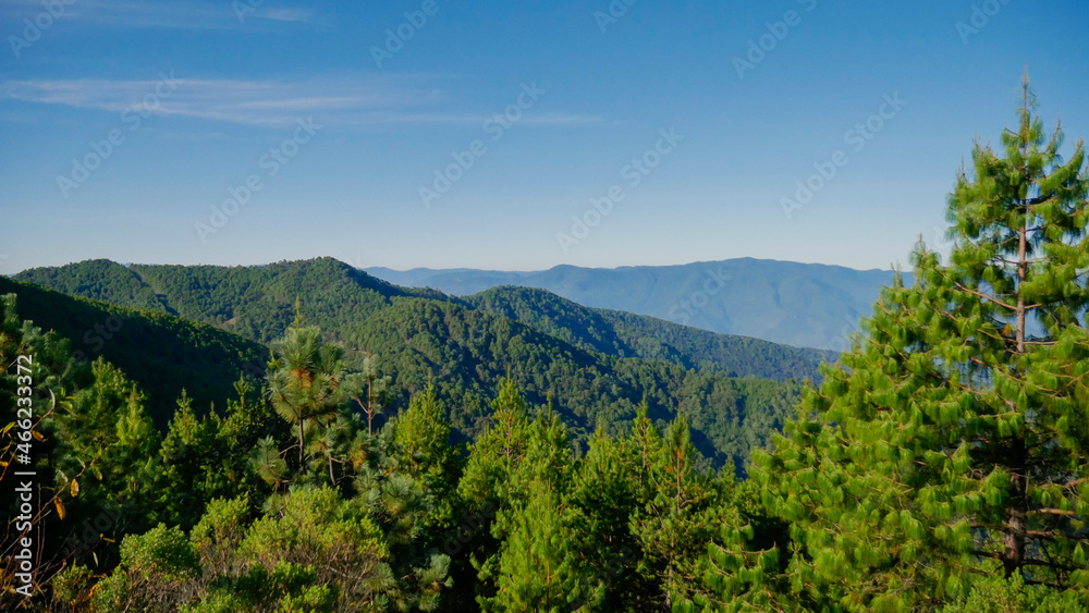 Bosques y montañas de hermosos colores verdes acompañado con el cielo azul.