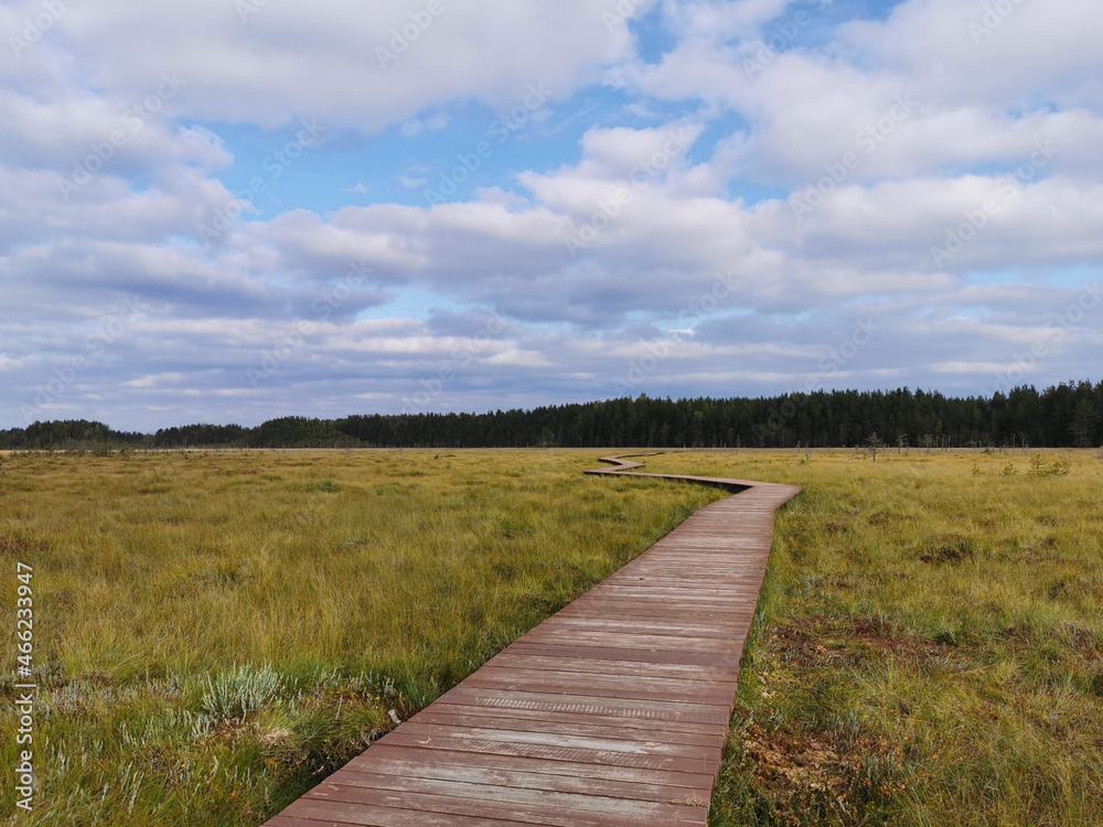 Wooden plank flooring over a swamp with yellowed grass against a beautiful sky with clouds. Wooden plank flooring over a swamp with yellowed grass against a beautiful sky with clouds.