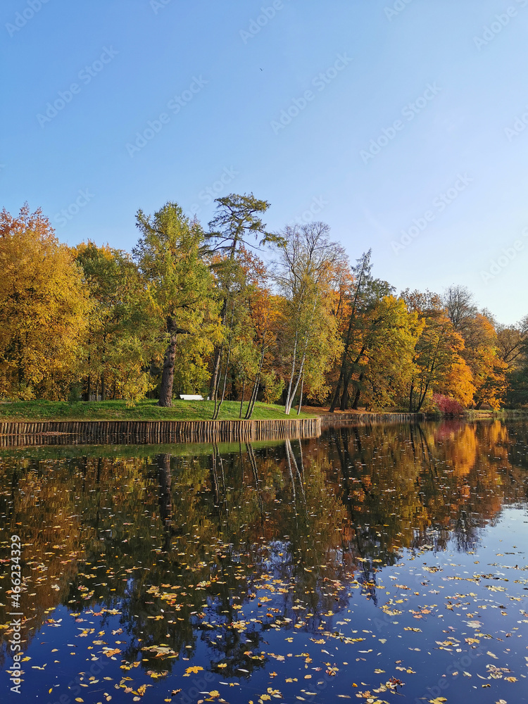 Autumn in the park. Trees with bright, falling leaves grow on the shore of the pond and are reflected in its water.