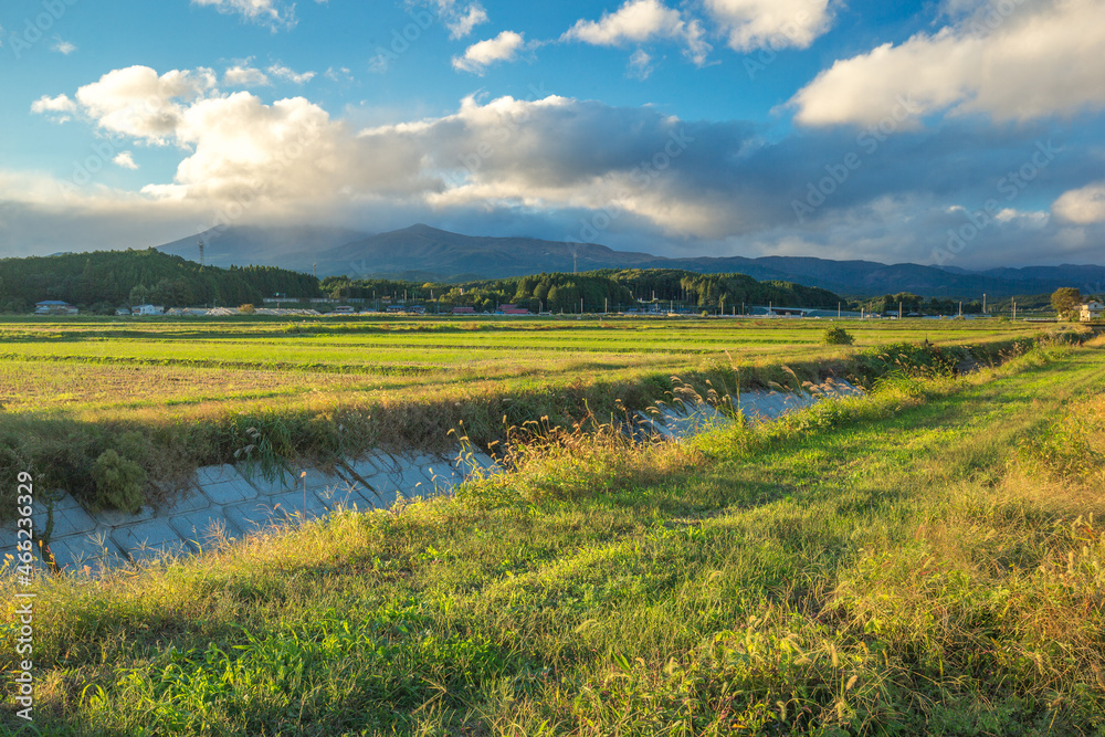 Fototapeta premium アニメ風な田舎の風景