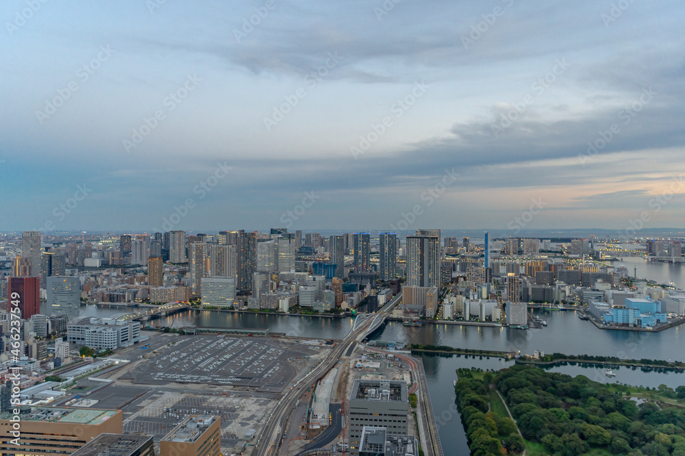 Fototapeta premium 東京都港区汐留から見た東京の都市景観
