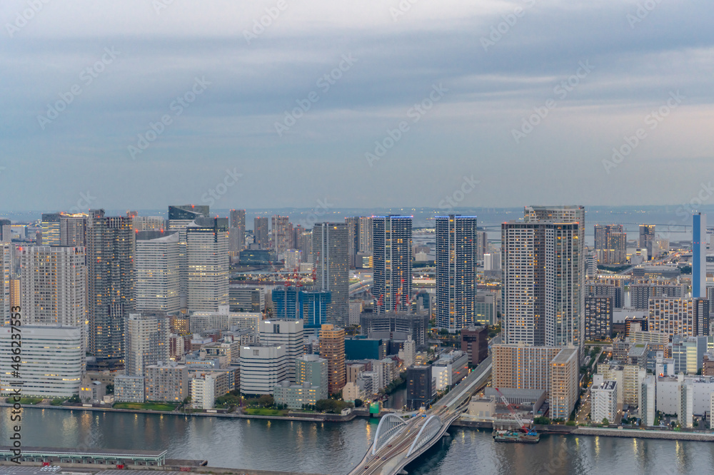 Fototapeta premium 東京都港区汐留から見た東京の都市景観