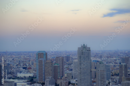 東京都港区汐留から見た東京の都市景観