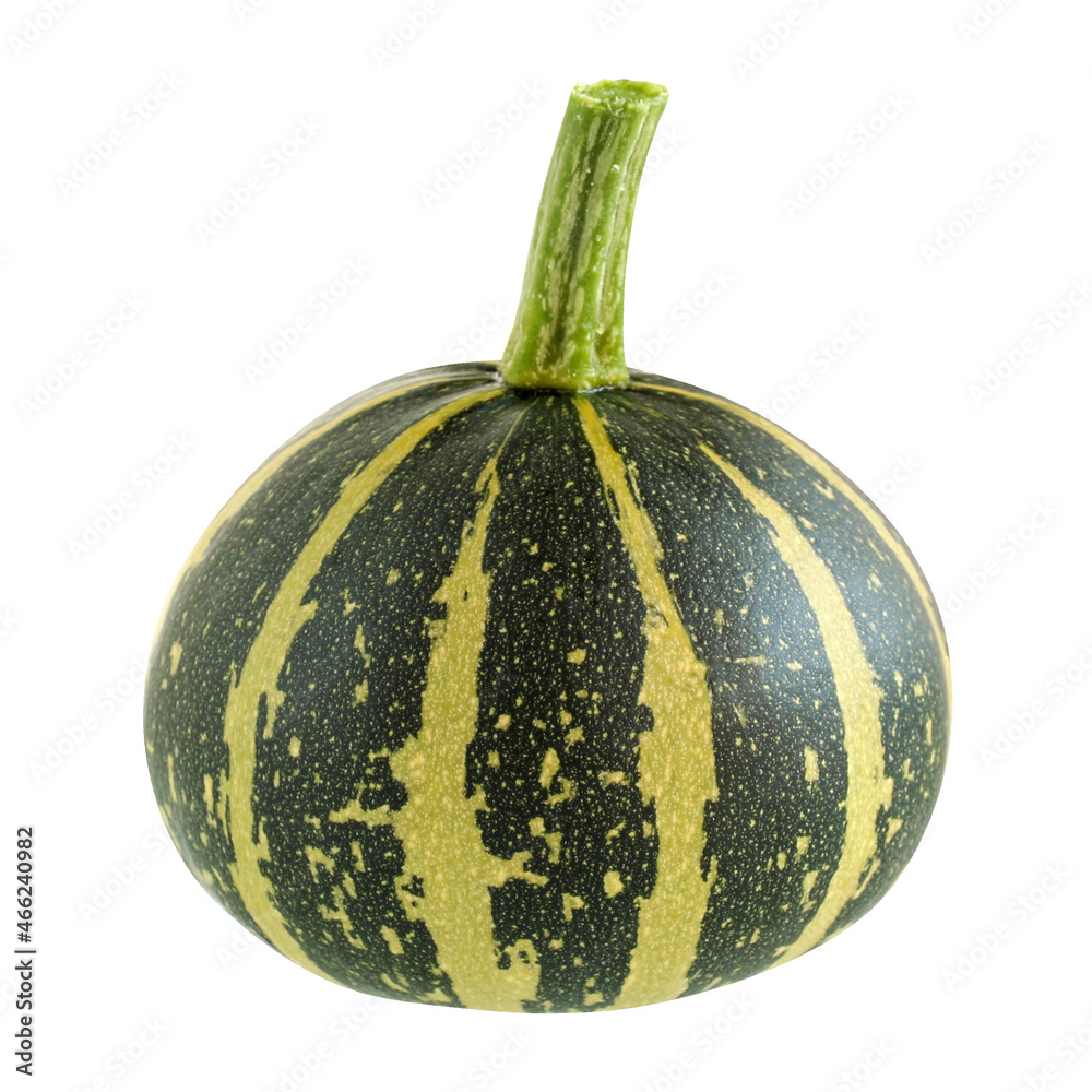 isolated decorative pumpkin on a white background with a clipping path isolated decorative pumpkin on a white background with a clipping path