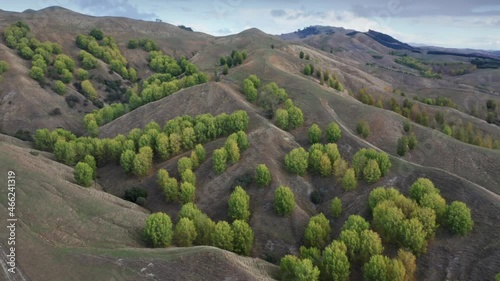 Aerial: Rural farmland hills and trees in autumn time, Waimarama, Hawkes Bay, New Zealand photo