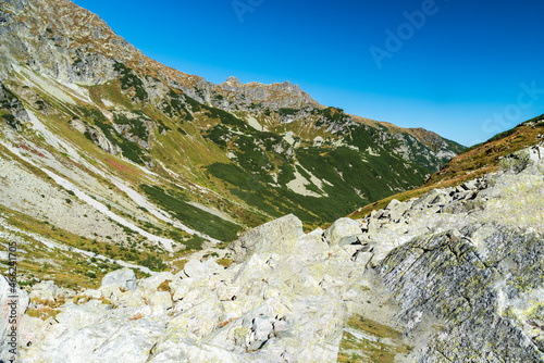 Siroka and stit nad Zelenym mountain peaks from Javorova dolina valley in Vysoke Tatry mountains in Slovakia photo