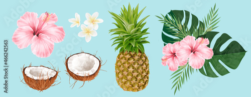 Realistic Tropical Illustrations Of A Pineapple, Hibiscus , Frangipani, Coconuts & Palm and Monstera Leaves