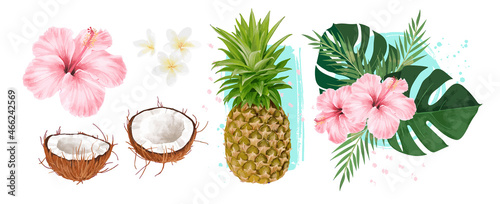 Realistic Tropical Illustrations Of A Pineapple, Hibiscus , Frangipani, Coconuts & Palm and Monstera Leaves