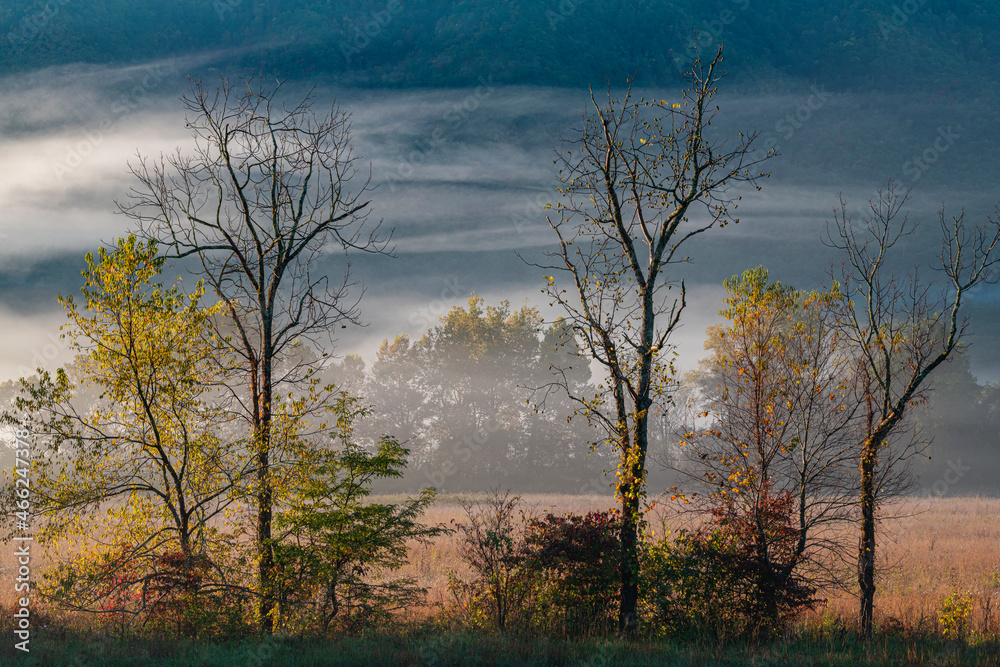 656-39 Autumn Changes in the Mist 656-39 Autumn Changes in the Mist