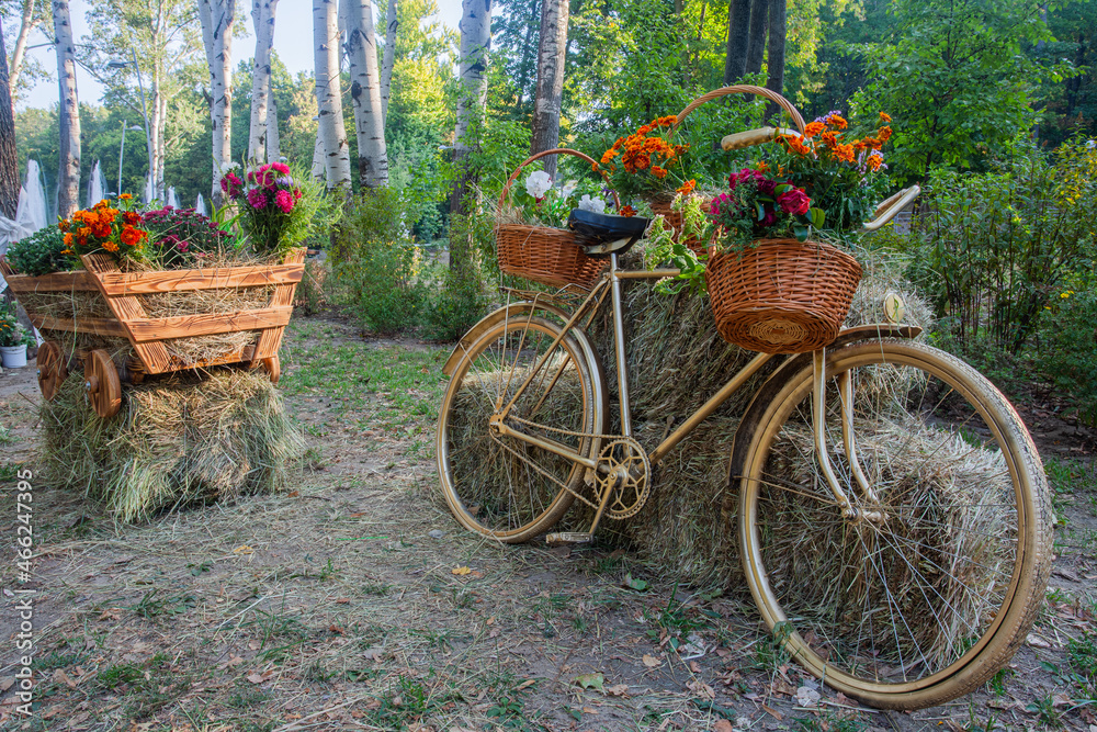 bicycle and cart with flowers in the city central park