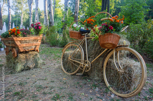 bicycle and cart with flowers in the city central park