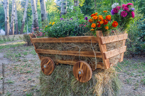 wooden cart with flowers in the central city park