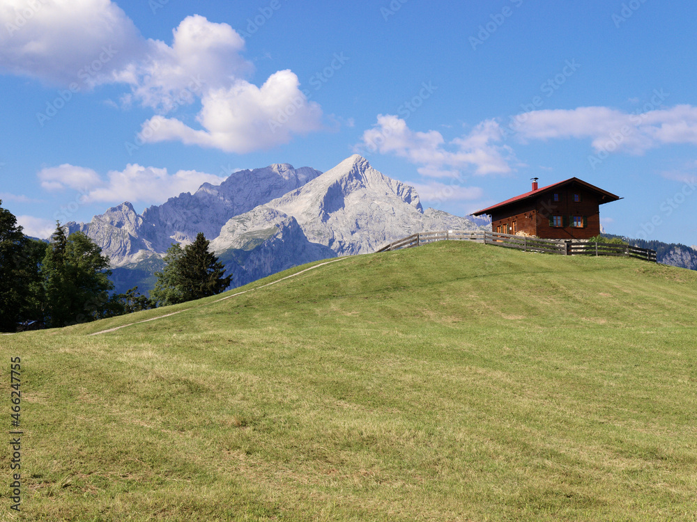 Green meadow on the background the mountains