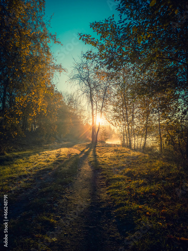 Footpath to the Sun - Morning Hour at a Lake