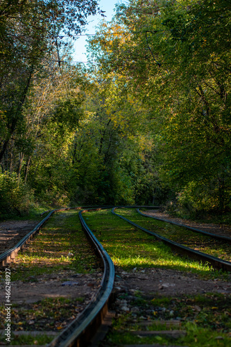 Obraz na płótnie tram rails are laid on the park