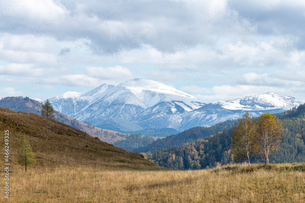 autumn horizontal landscape, in soft colors, in sunlight, field and trees in the foreground, snow-capped peaks of mountains and taiga with an expressive sky in the background