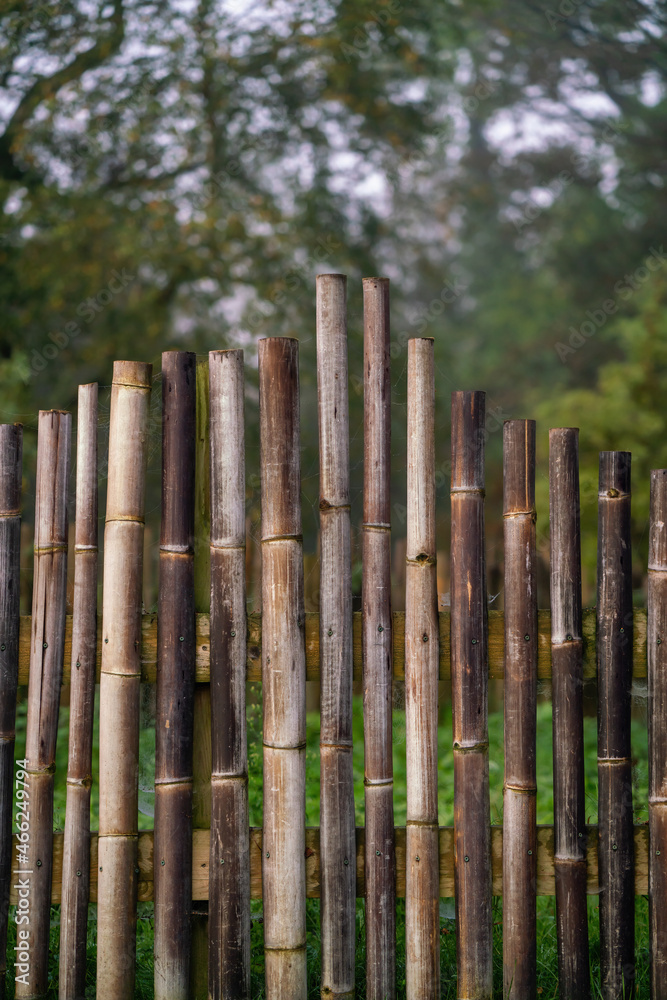 Old bamboo fence Old bamboo fence