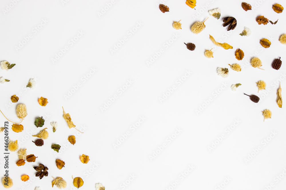 An autumn leaves background with copy space. An autumn leaves background with copy space.
