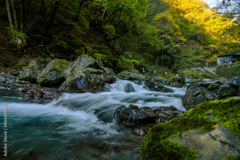 Obraz premium Slow shutter image of the cascading Tama river flowing over boulders in the Okutama forest in Japan. beautiful river and autumnal trees in the background