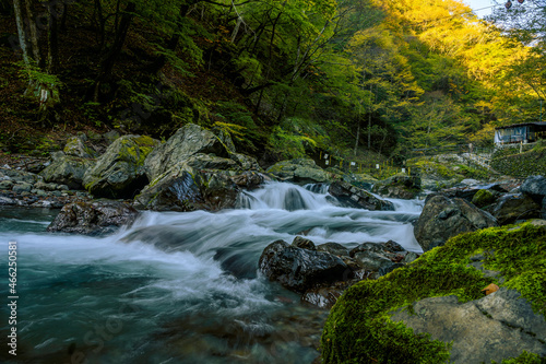 Slow shutter image of the cascading Tama river flowing over boulders in the Okutama forest in Japan. beautiful river and autumnal trees in the background