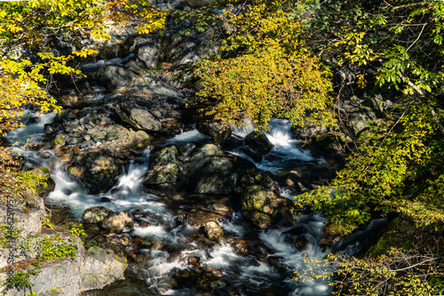 Fototapeta Naklejka Na Ścianę i Meble -  Slow shutter image of the cascading Tama river flowing over boulders in the Okutama forest in Japan. beautiful  river and autumnal trees in the background