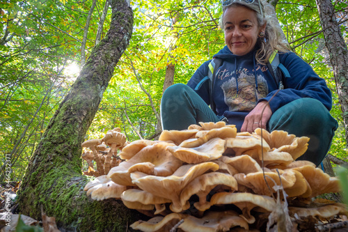 Принти на полотні Female mushroom picker foraging for mushrooms in the forest