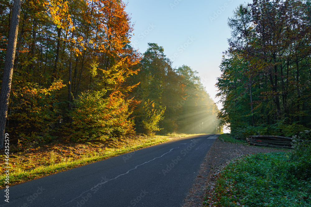 Fototapeta premium Vorsicht bei tiefstehender Sonne